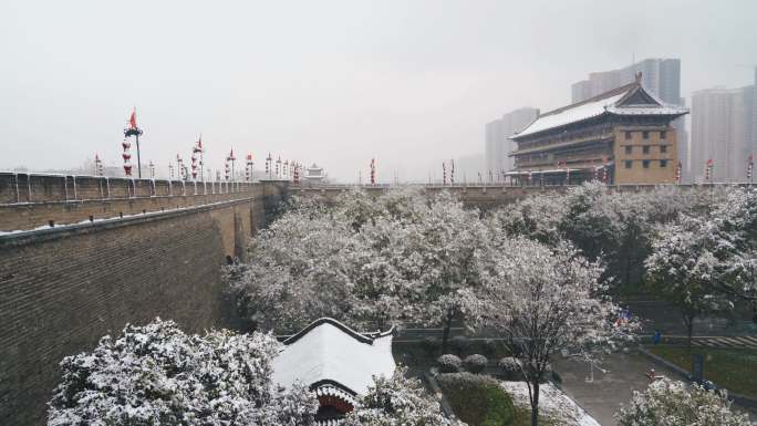 雪域古城墙。古都古城古城楼