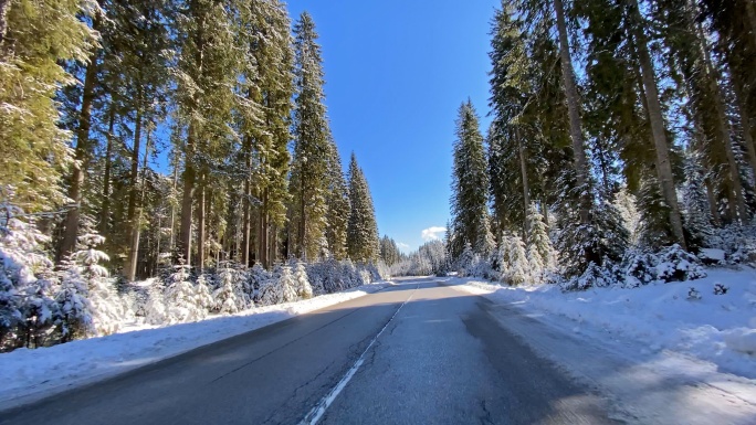 冬天，沿着白雪覆盖的森林在空旷的路上开车