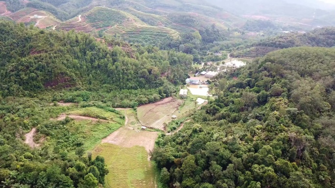 马来西亚热带气候下有机蔬菜农场正上方的无人机视图