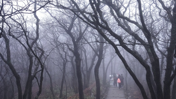 中国东部黄山自然步道。