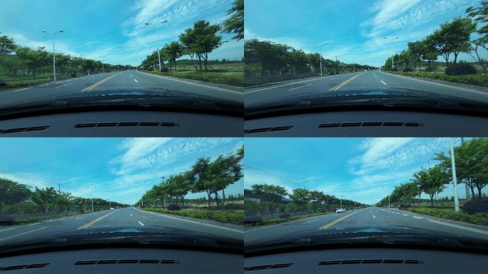 乡村第一视角开车沿路风光4K慢动作
