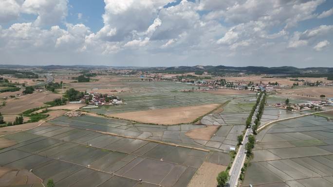 航拍乡村稻田 旱田 水库