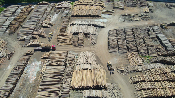 航拍木材厂存储航拍视频