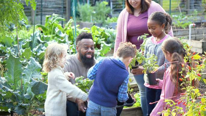 成人带孩子，在社区花园种植