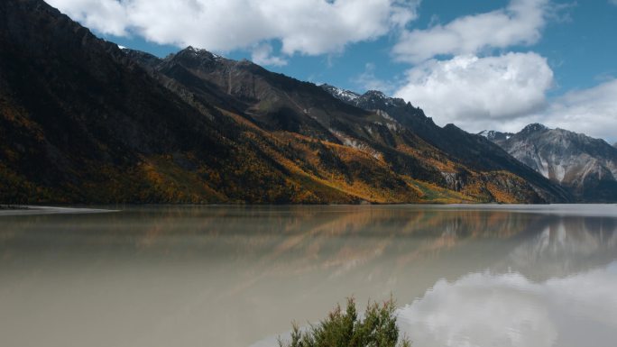秋季高原湖泊金黄色森林雪山倒影