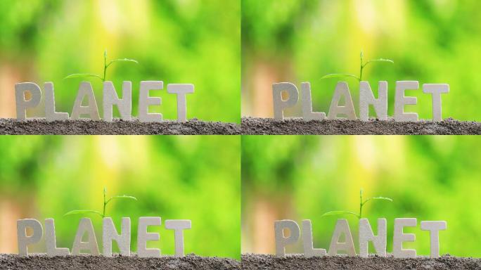 “Planet”一词用木制字母表示。