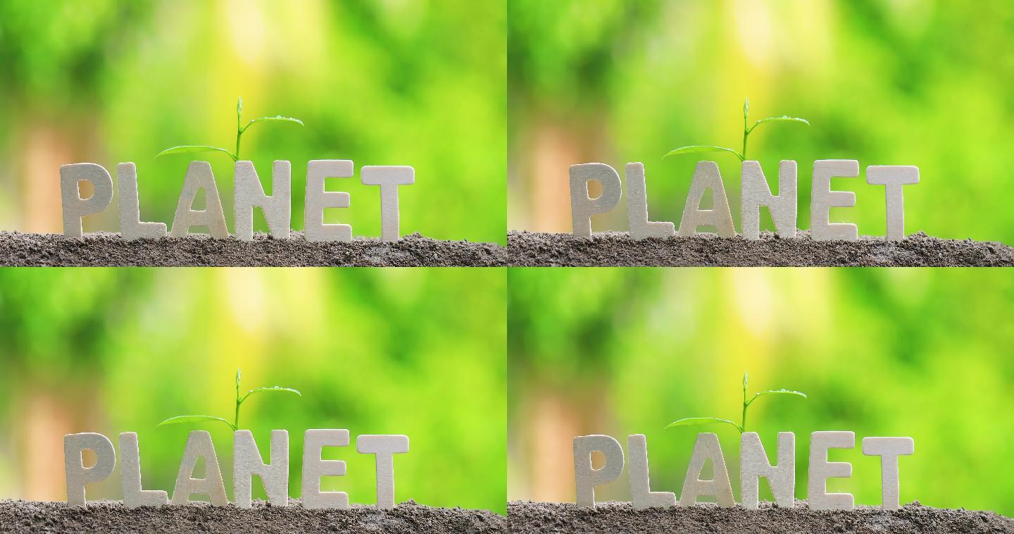 “Planet”一词用木制字母表示。