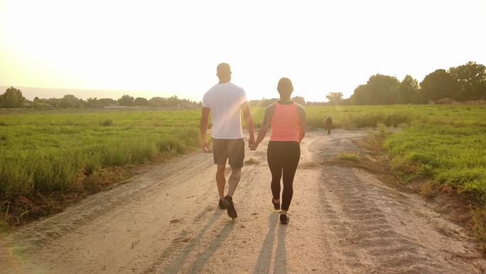 在黄金时段4K视频系列中，积极健康的夫妇在美国乡村散步大丹犬