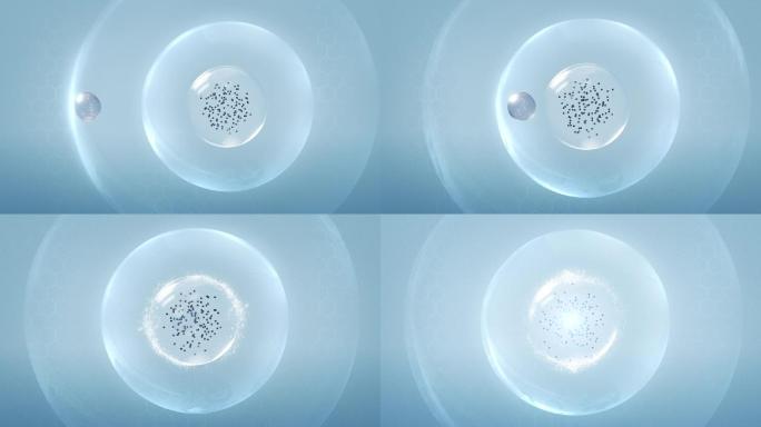 精华分子渗透 细胞核 化妆品功效