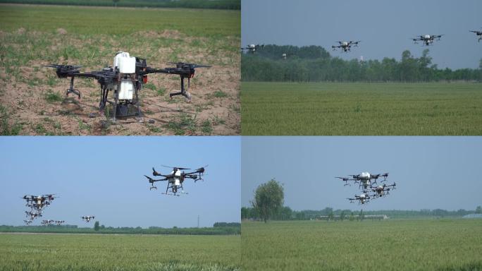 农业飞机 喷散施肥托管 植保无人机群作业