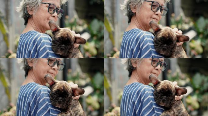 后景：一位亚洲资深女士抱着她的法国牛头犬纯种小狗，满怀爱意地看着他，退休后爱好园艺