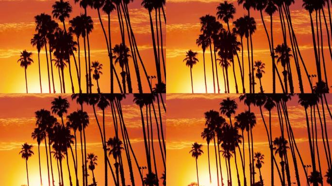 日落时分的加利福尼亚棕榈泉
