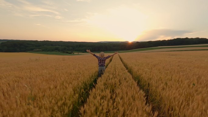 黄昏时分，在麦田里，一个欣喜若狂的农民向天空举起双臂