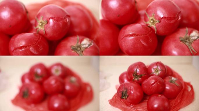 【镜头合集】变质的番茄  (3)