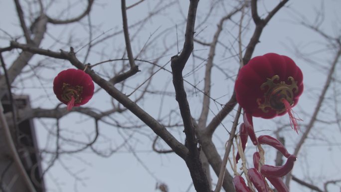 中国节日农家节日