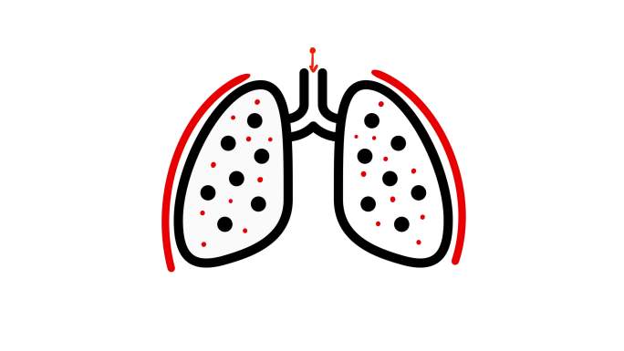 肺部动画呼吸系统支气管吸气机理演示