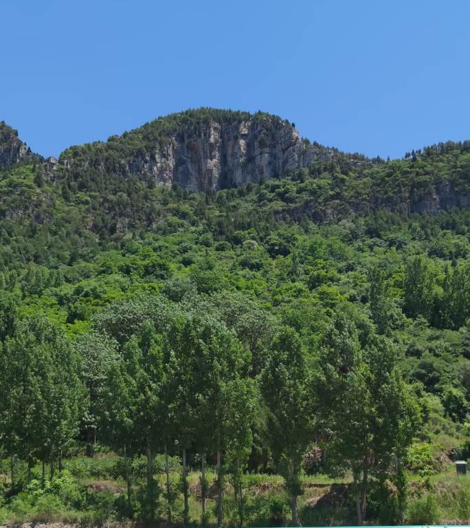 4K  风景  背景