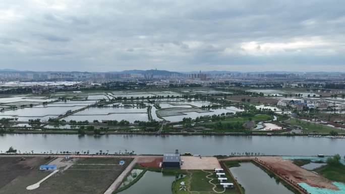 麒麟水乡曲靖湿地