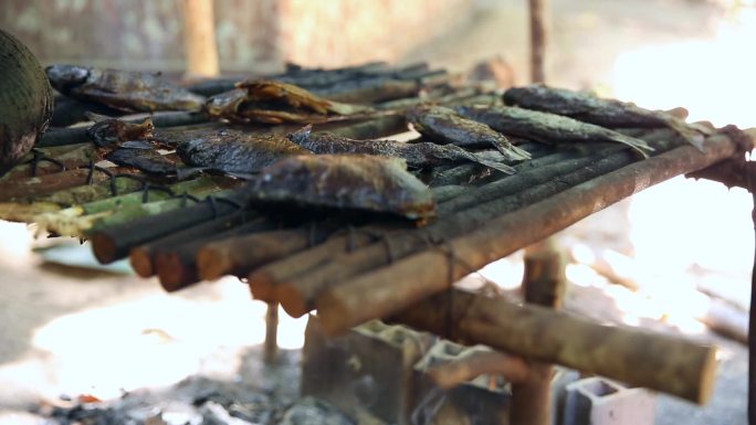 在巴西土著部落烹制的鱼