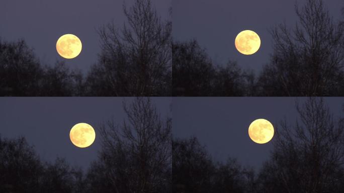 月球运动月亮升起夜晚夜黑风高