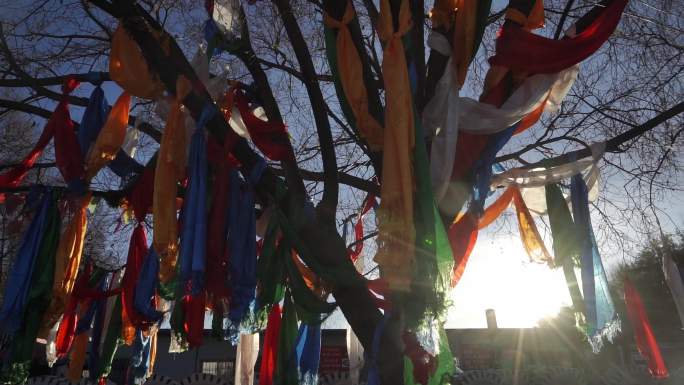 西藏藏区经幡信仰经文阳光