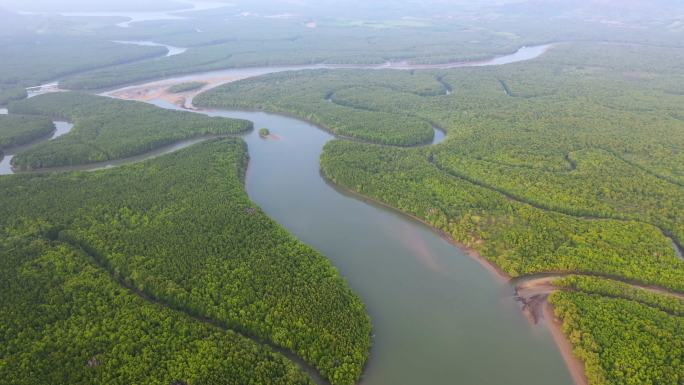 热带雨林和许多河流的右天线