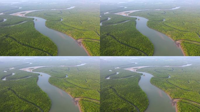 热带雨林和许多河流的右天线