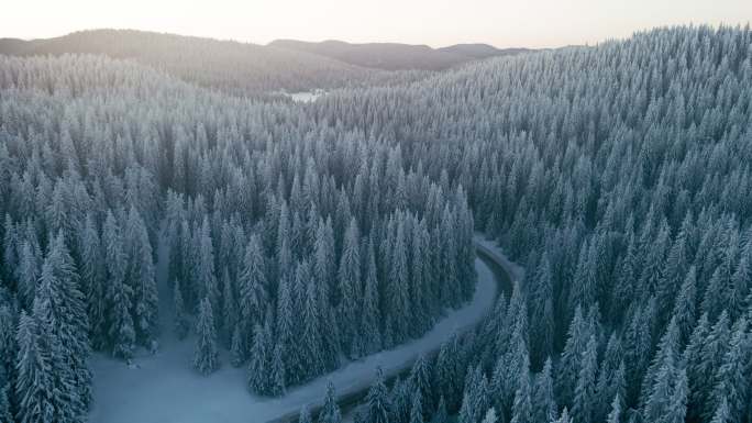 日出时松林雪路的冬季鸟瞰图。