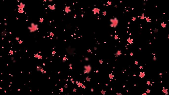 4K映山红花瓣飘地幕带透明通道无缝循环