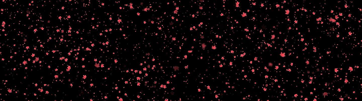 4K映山红花瓣飘地幕带透明通道无缝循环