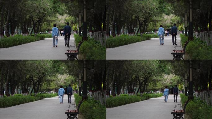 公园中散步的老人9（50帧每秒）