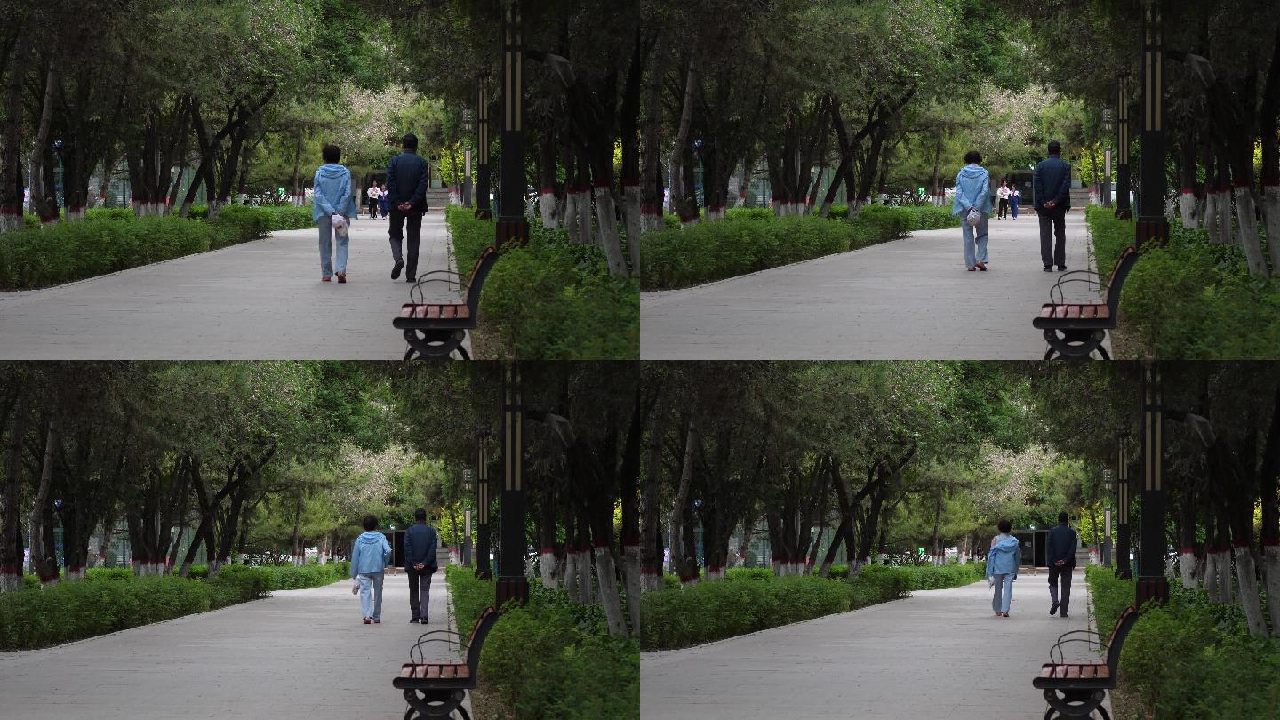 公园中散步的老人9（50帧每秒）
