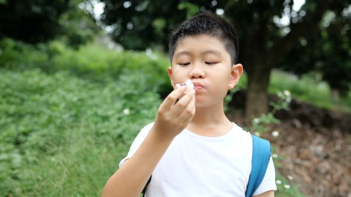 小男孩在户外吃荔枝竖起大拇指