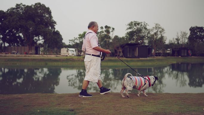 老年夫妇在假期里牵着狗散步。