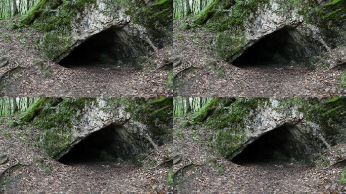 森林中的洞穴开口洞口