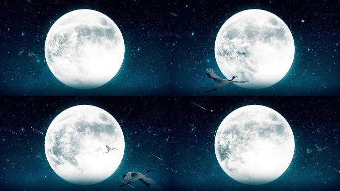 月夜背景循环