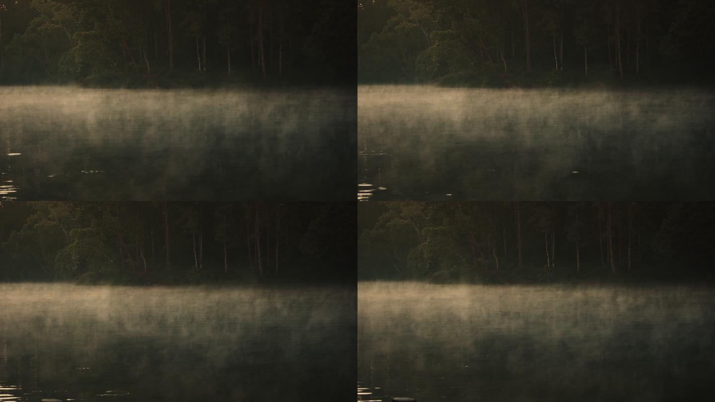 晨光穿过松林照到水面，在梅洪森省庞公森林，没有人