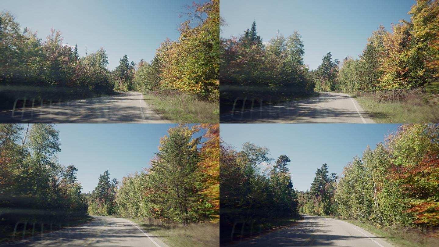 密歇根秋天森林的弯曲道路