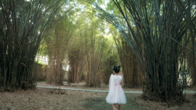 小女孩在竹林里漫步闻花奔跑