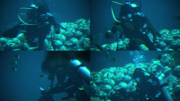 海洋公园 海底世界 饲养员 日常生活