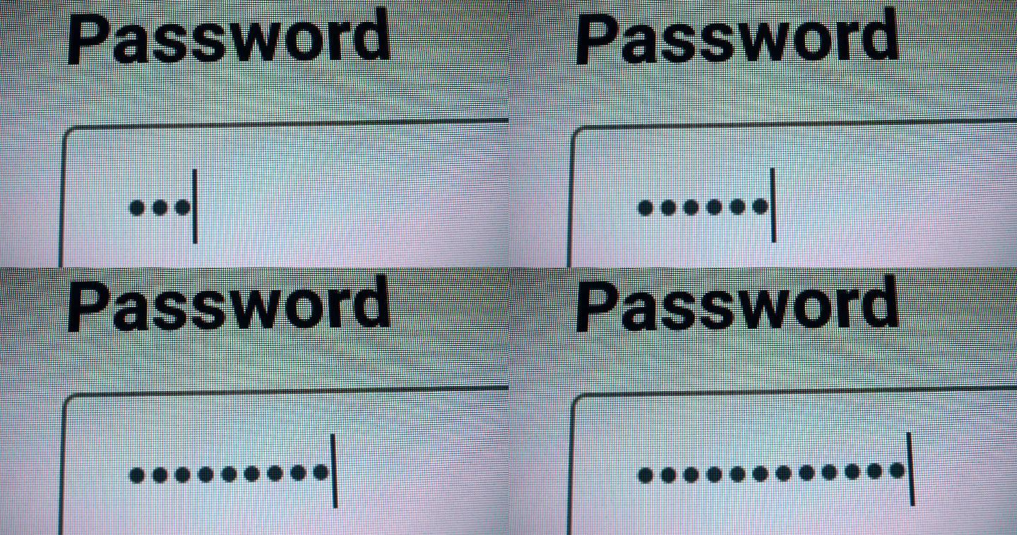 在计算机屏幕上的文本字段中键入密码，宏特写