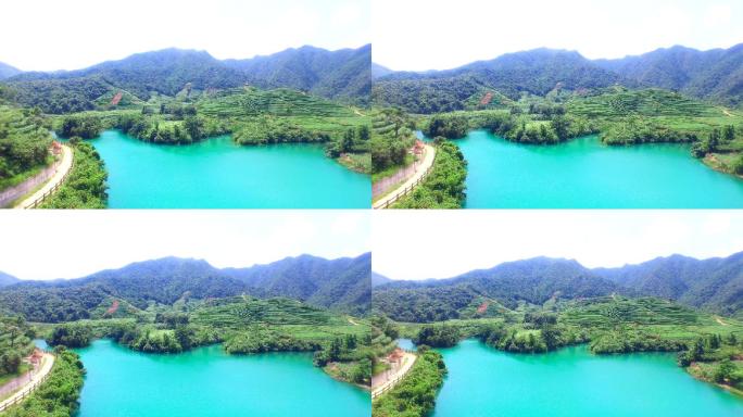 杭州龙井山池塘和茶园鸟瞰图