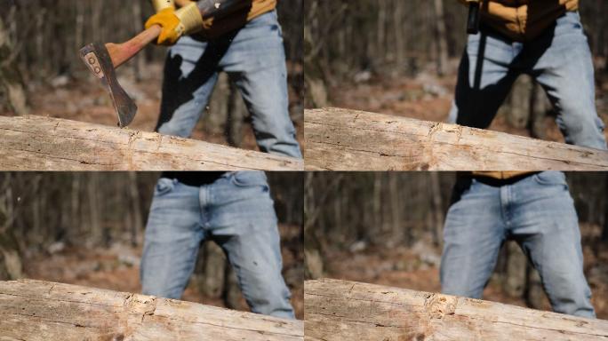 一名男子在森林中砍伐木材的特写镜头。
