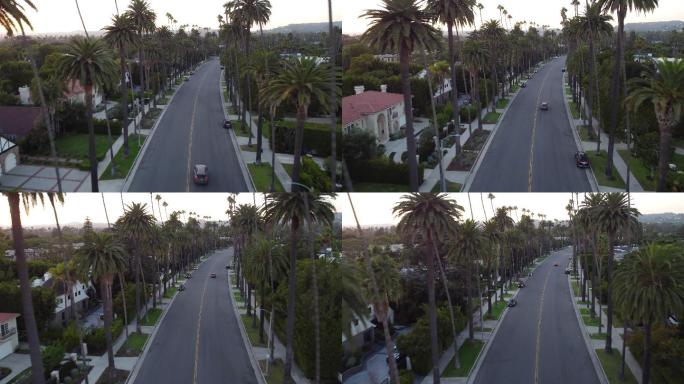 贝弗利山庄棕榈树和街道鸟瞰图