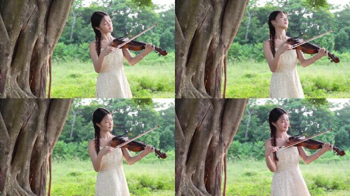 女孩在榕树下拉小提琴