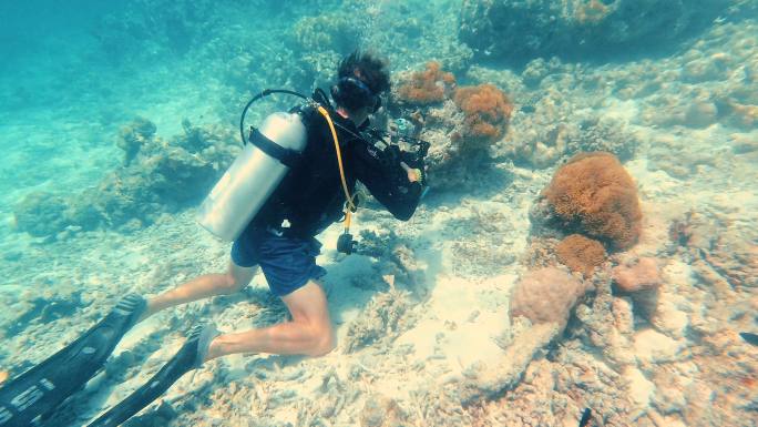 水下潜水员拍摄海洋生物