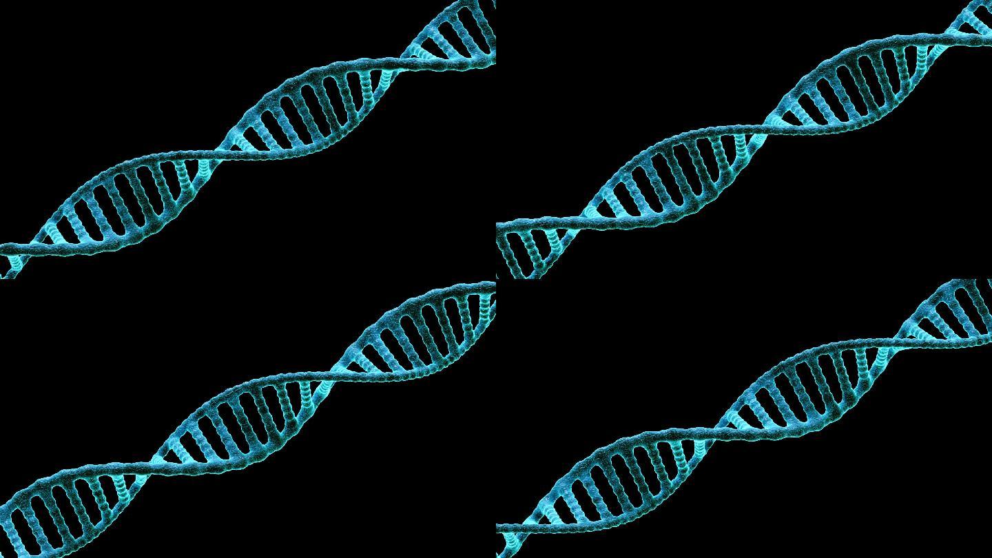 基因DNA链