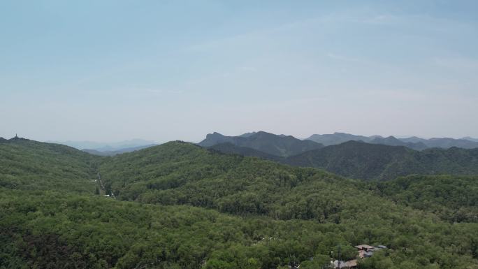 航拍青州仰天山高山槐树林风光