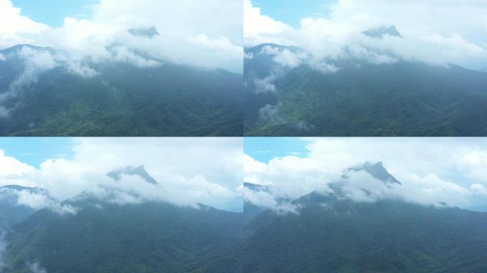 热带雨林 五指山 下雨 风景