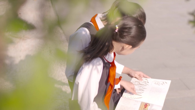 唯美阳光女孩小学生看书校园生活环境红领巾